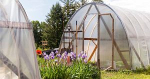 How to Use a Hoop House FB