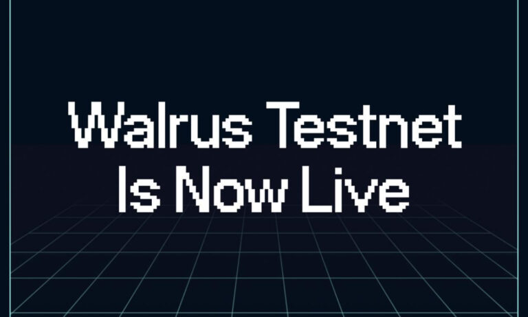 Walrus Testnet 1729144851krjDdejpZE