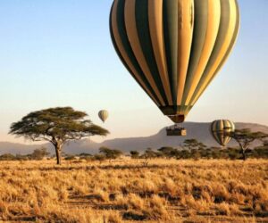 Hot Air Balloon Masai Mara Africa Kenya Safaris FEATURED IMAGE Final