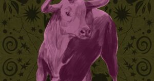 horoscope taurus