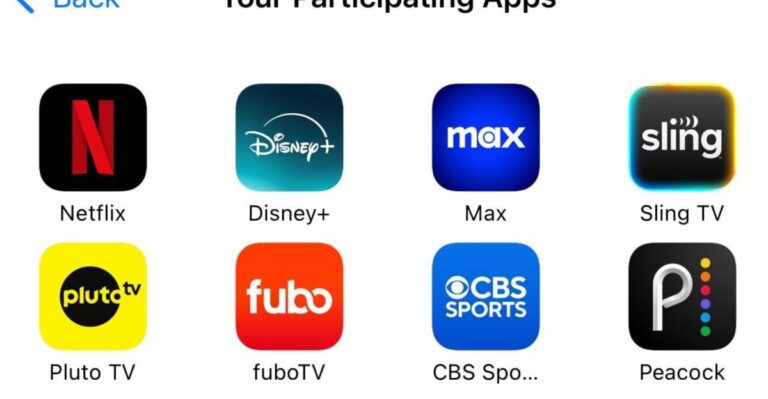 Apple TV app Netflix hed