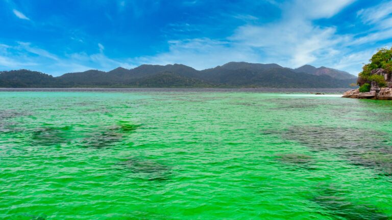 Green Water
