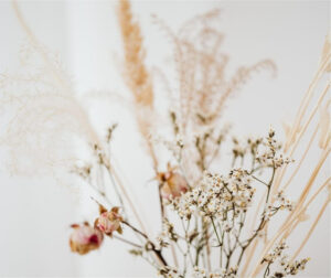 Natasha's-Holistic-Counseling-2