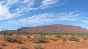 Western Australia Desert