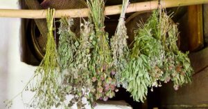 How to Dry Herbs FB
