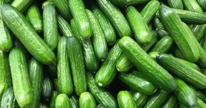 Cucumber Hollow Heart Causes and Solutions FB 2