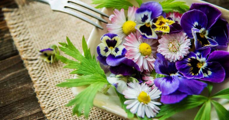 Harvesting Edible Flowers FB