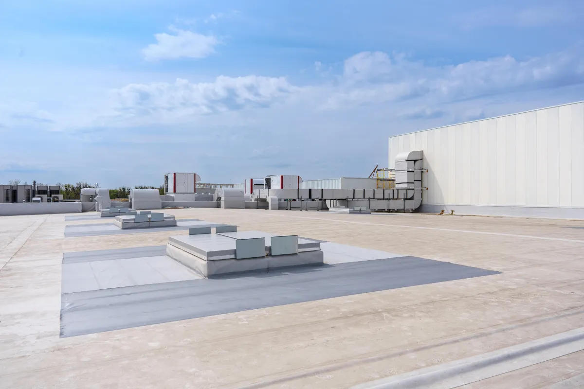 Roof-Nuts-6